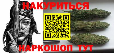 СК Кингисепп