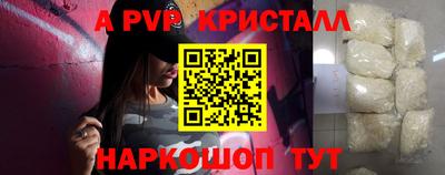 СК Кингисепп
