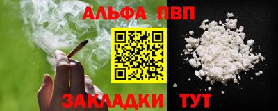 СК Кингисепп