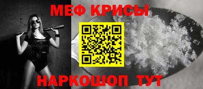 СК Кингисепп