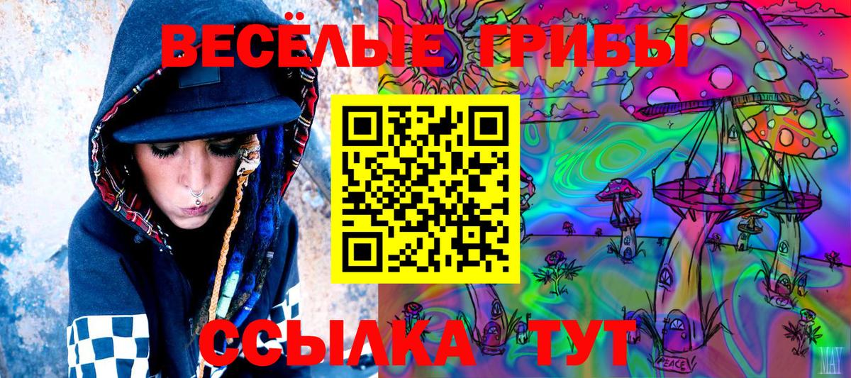 Галлюциногенные грибы MAGIC MUSHROOMS Элиста