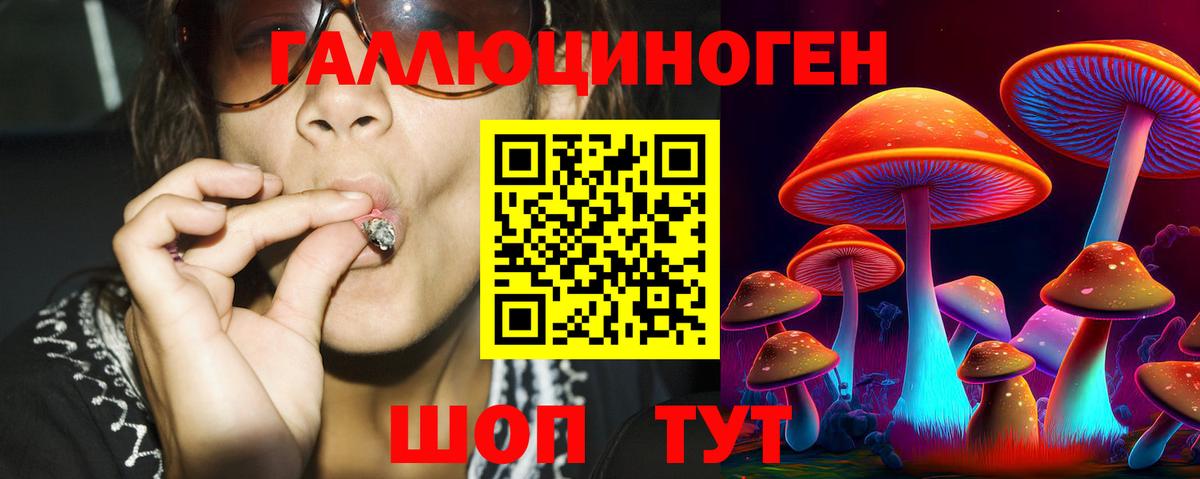 Псилоцибиновые грибы Psilocybine cubensis  Вход с VPN  Элиста 
