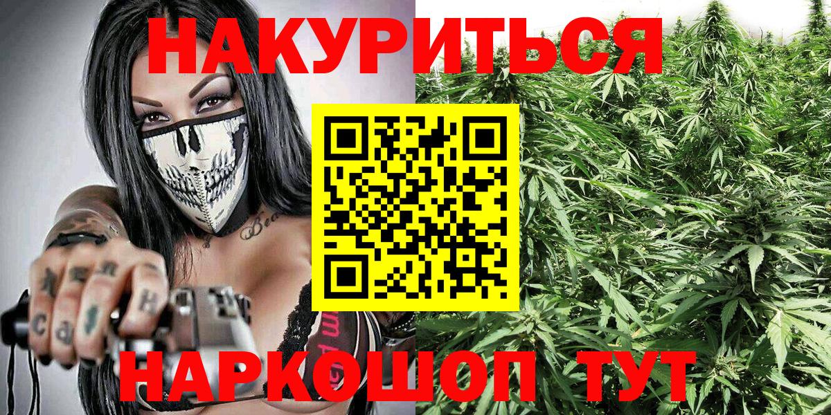 Бошки марихуана планчик  Вход с VPN  Марихуана тримм  Элиста  Марихуана THC 21%  Марихуана конопля 